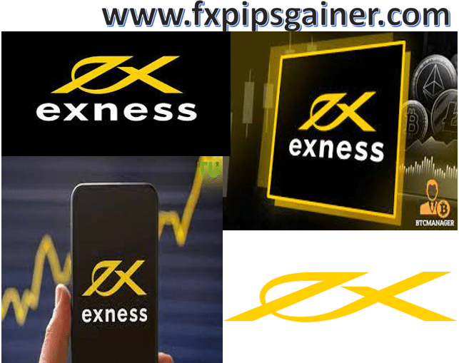 Understanding Competitive Exness Fees Understanding Competitive Exness Fees